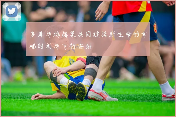 多库与梅赫莱共同迎接新生命的幸福时刻与飞行安排